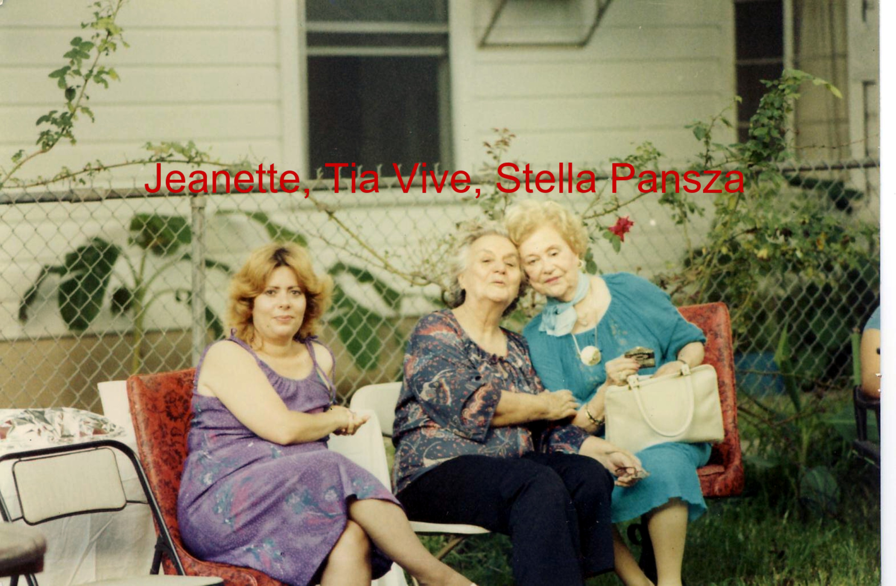 bebestellajeanette.jpg
